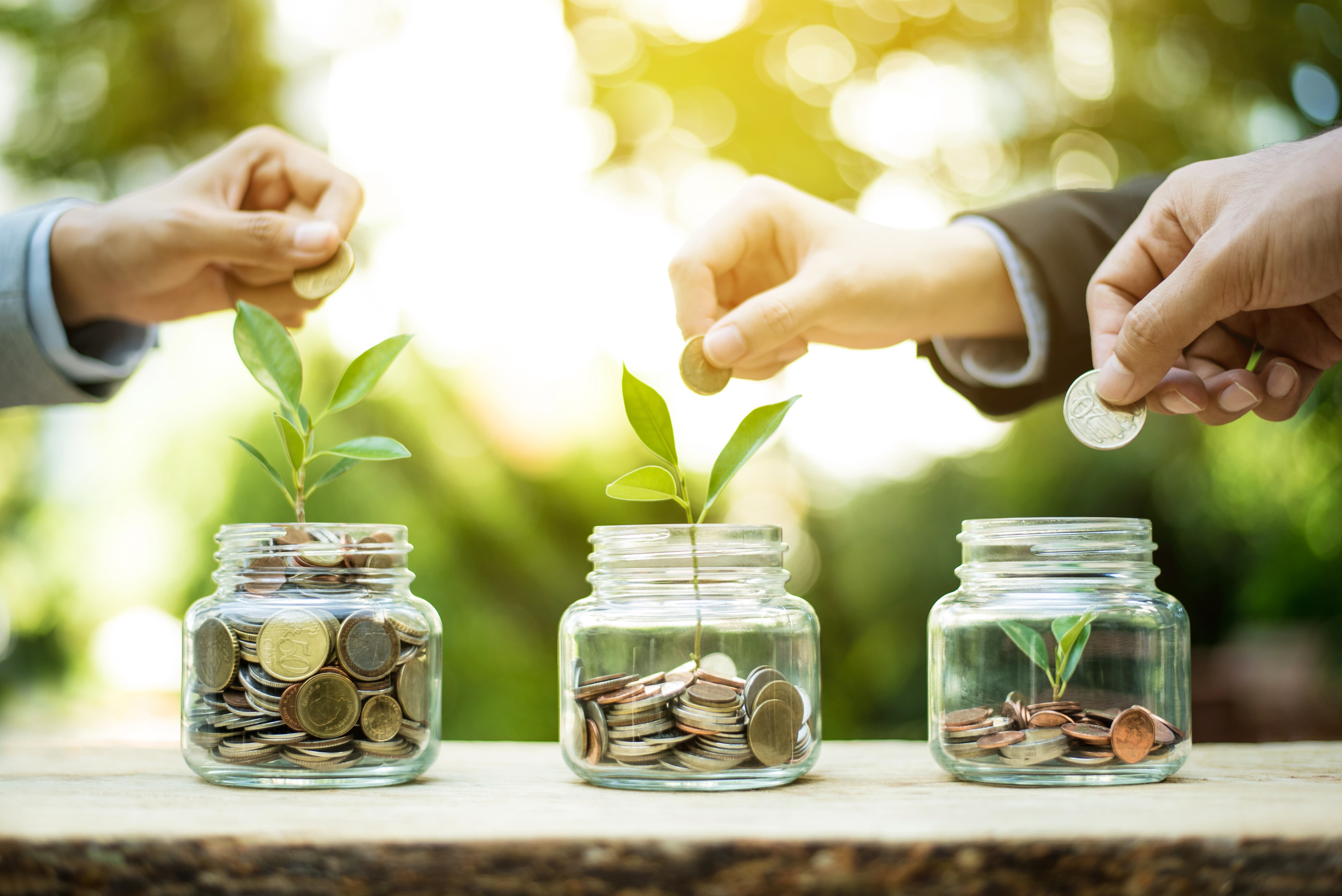 Crowfunding a jeho úloha v investicích